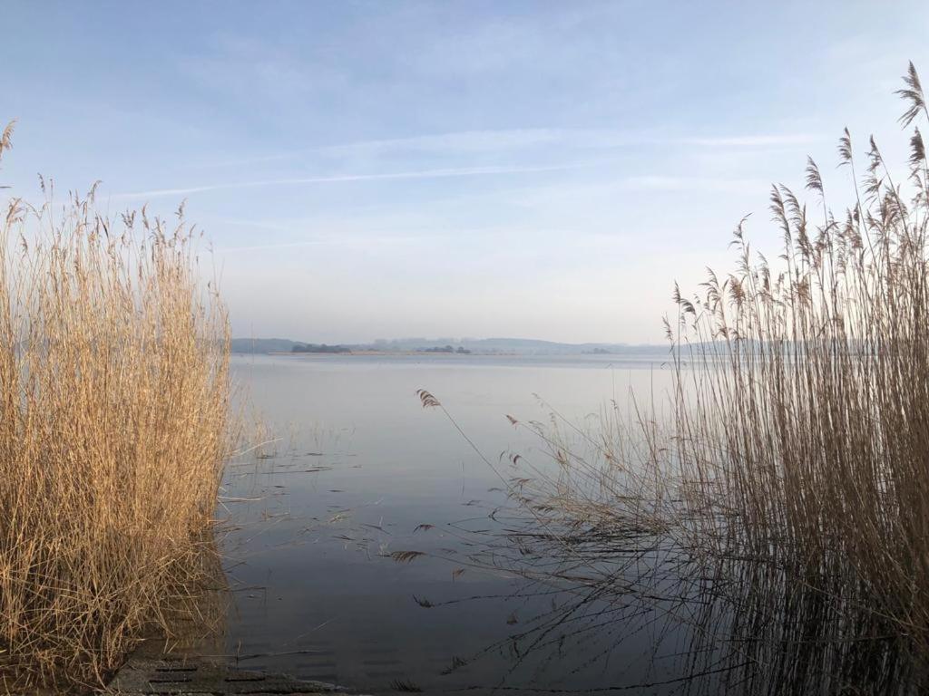 Ferienwohnung Seeblick - Insel Usedom Balm Eksteriør bilde